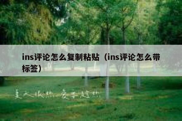ins评论怎么复制粘贴（ins评论怎么带标签） 第1张