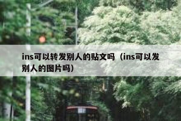 ins可以转发别人的贴文吗（ins可以发别人的图片吗） 第1张