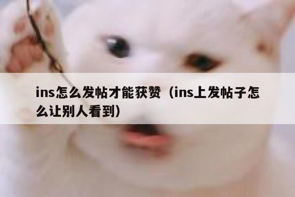 ins怎么发帖才能获赞（ins上发帖子怎么让别人看到） 第1张