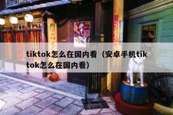 tiktok怎么在国内看（安卓手机tiktok怎么在国内看） 第1张