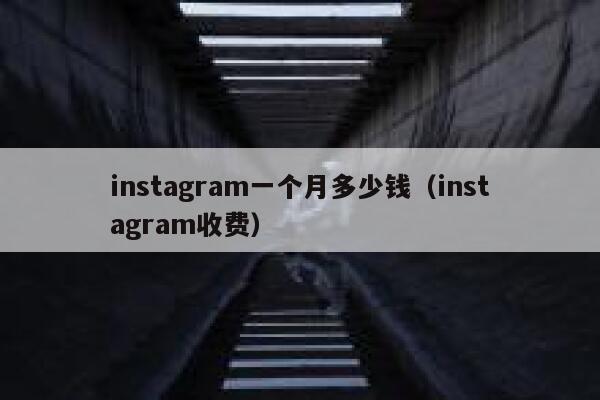 instagram一个月多少钱（instagram收费） 第1张