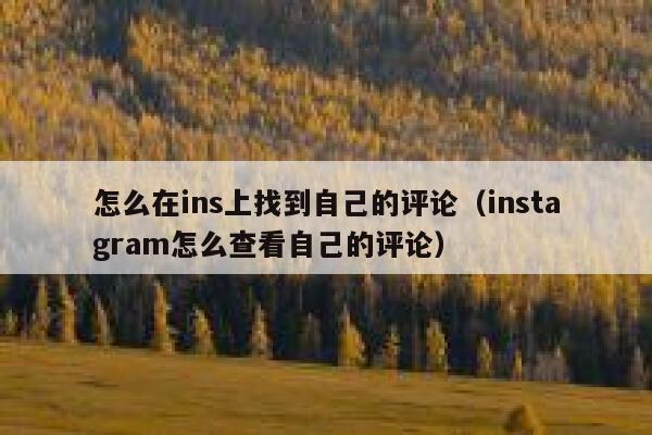 怎么在ins上找到自己的评论（instagram怎么查看自己的评论） 第1张
