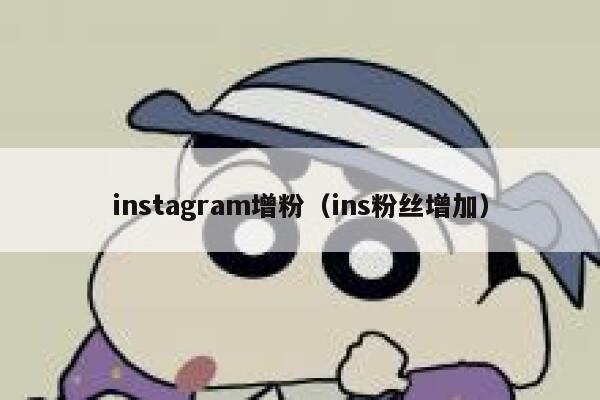 instagram增粉（ins粉丝增加） 第1张
