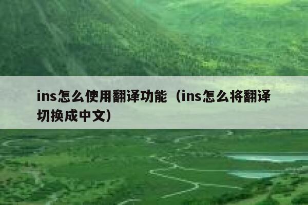 ins怎么使用翻译功能（ins怎么将翻译切换成中文） 第1张