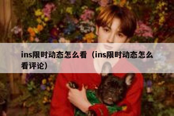 ins限时动态怎么看（ins限时动态怎么看评论） 第1张