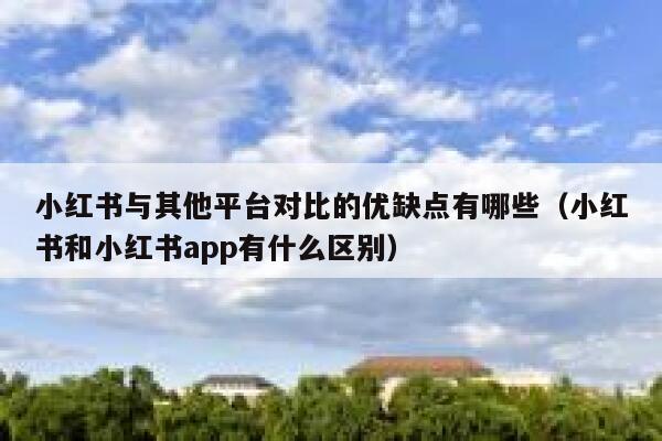 小红书与其他平台对比的优缺点有哪些（小红书和小红书app有什么区别） 第1张