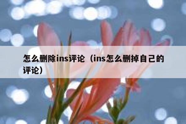 怎么删除ins评论(ins怎么删掉自己的评论) 第1张 怎么删除ins评论(ins怎么删掉自己的评论) 第1张