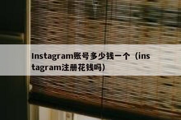 Instagram账号多少钱一个（instagram注册花钱吗） 第1张