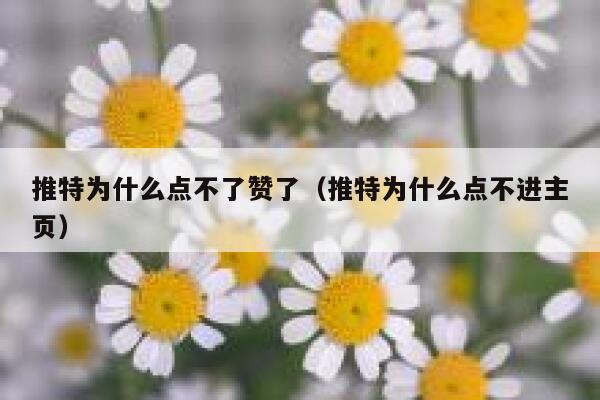 推特为什么点不了赞了（推特为什么点不进主页） 第1张