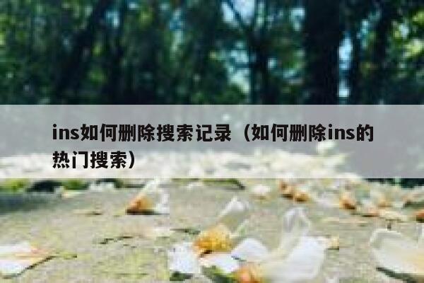 ins如何删除搜索记录（如何删除ins的热门搜索） 第1张