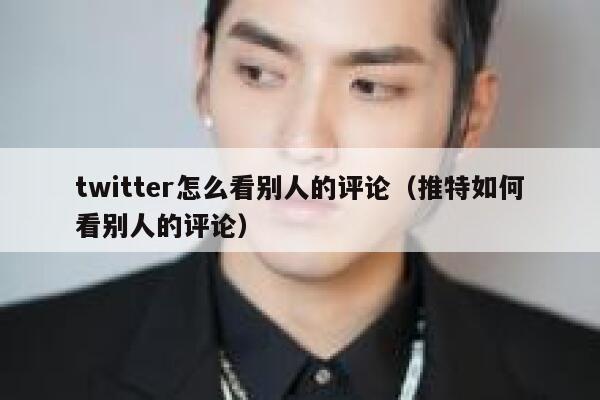 twitter怎么看别人的评论（推特如何看别人的评论） 第1张