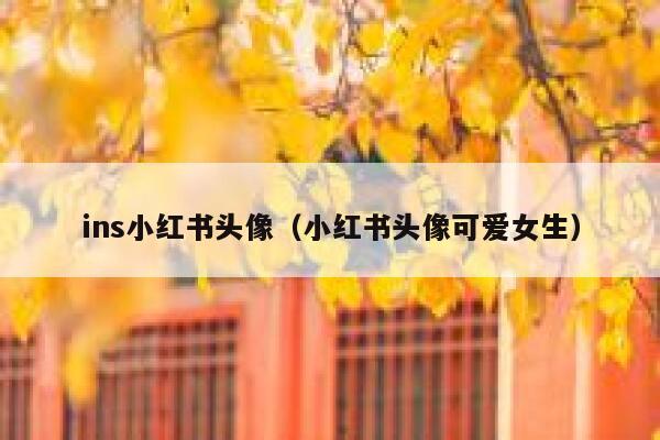 ins小红书头像（小红书头像可爱女生） 第1张