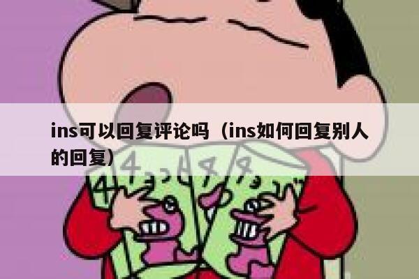 ins可以回复评论吗（ins如何回复别人的回复） 第1张
