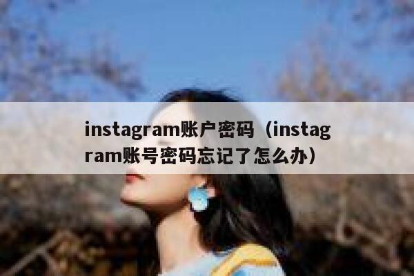 instagram账户密码（instagram账号密码忘记了怎么办） 第1张