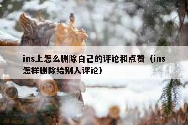 ins上怎么删除自己的评论和点赞（ins怎样删除给别人评论） 第1张