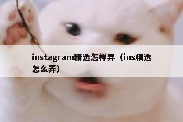 instagram精选怎样弄（ins精选怎么弄） 第1张