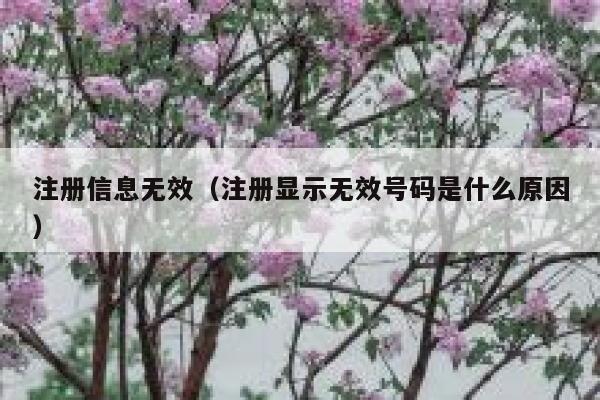注册信息无效（注册显示无效号码是什么原因） 第1张
