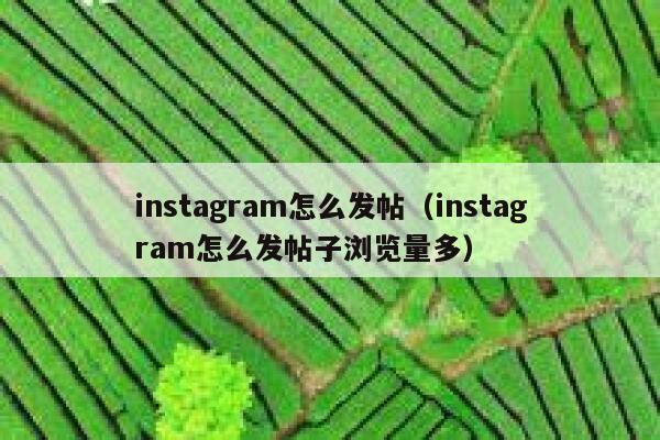 instagram怎么发帖（instagram怎么发帖子浏览量多） 第1张