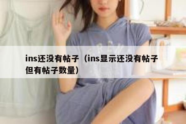 ins还没有帖子（ins显示还没有帖子 但有帖子数量） 第1张