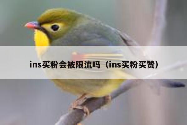 ins买粉会被限流吗（ins买粉买赞） 第1张