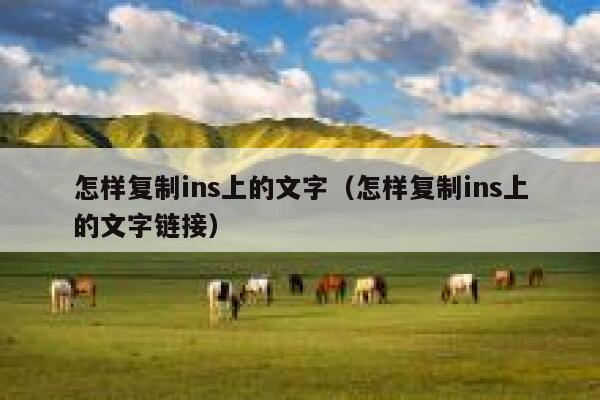 怎样复制ins上的文字（怎样复制ins上的文字链接） 第1张