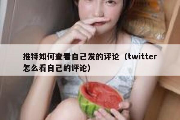 推特如何查看自己发的评论（twitter怎么看自己的评论） 第1张