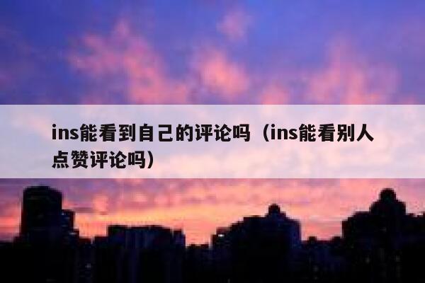 ins能看到自己的评论吗（ins能看别人点赞评论吗） 第1张