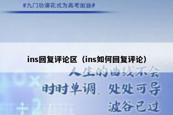 ins回复评论区（ins如何回复评论） 第1张
