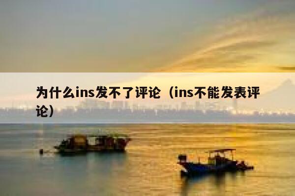 为什么ins发不了评论（ins不能发表评论） 第1张