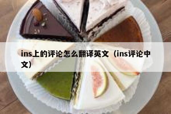 ins上的评论怎么翻译英文（ins评论中文） 第1张