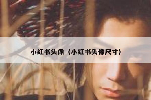 小红书头像（小红书头像尺寸） 第1张