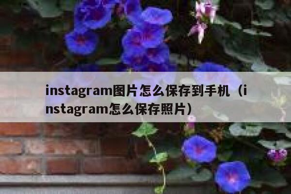 instagram图片怎么保存到手机（instagram怎么保存照片） 第1张