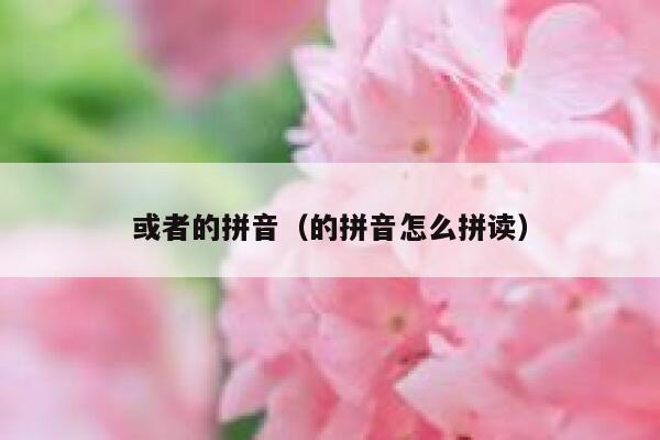 或者的拼音（的拼音怎么拼读） 第1张