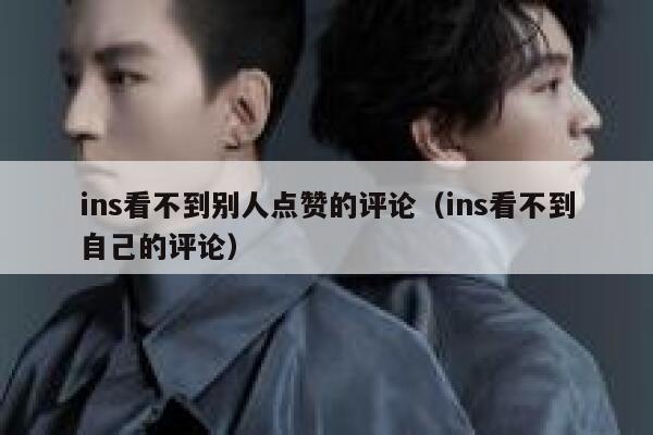 ins看不到别人点赞的评论（ins看不到自己的评论） 第1张