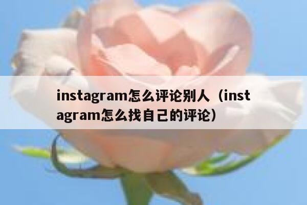 instagram怎么评论别人(instagram怎么找自己的评论) 第1张 instagram怎么评论别人(instagram怎么找自己的评论) 第1张