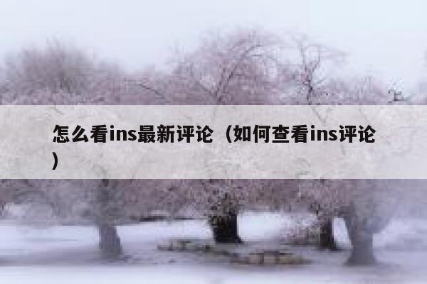 怎么看ins最新评论（如何查看ins评论） 第1张