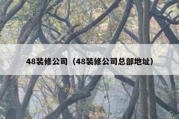 48装修公司（48装修公司总部地址） 第1张