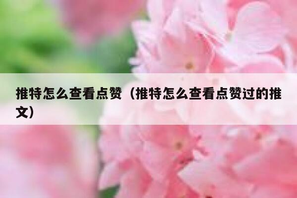 推特怎么查看点赞（推特怎么查看点赞过的推文） 第1张