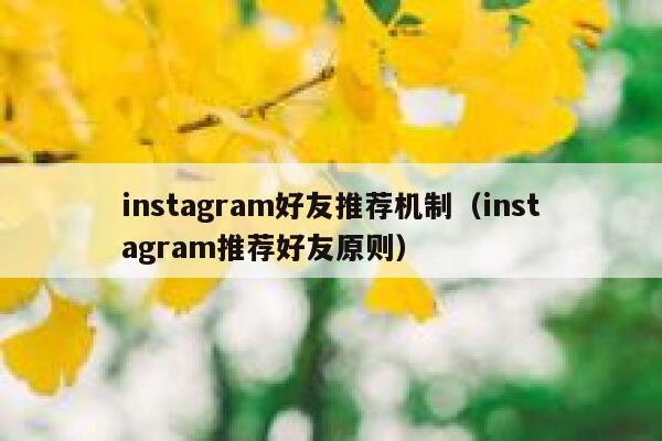 instagram好友推荐机制（instagram推荐好友原则） 第1张