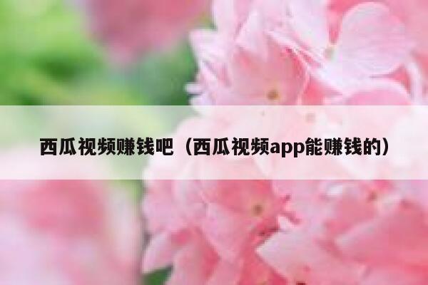 西瓜视频赚钱吧（西瓜视频app能赚钱的） 第1张