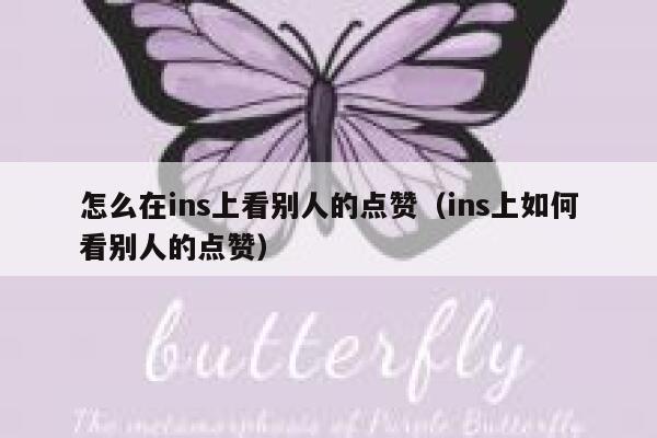 怎么在ins上看别人的点赞（ins上如何看别人的点赞） 第1张