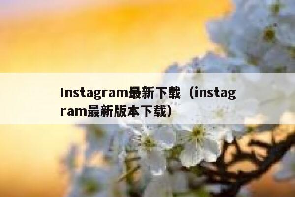 Instagram最新下载（instagram最新版本下载） 第1张