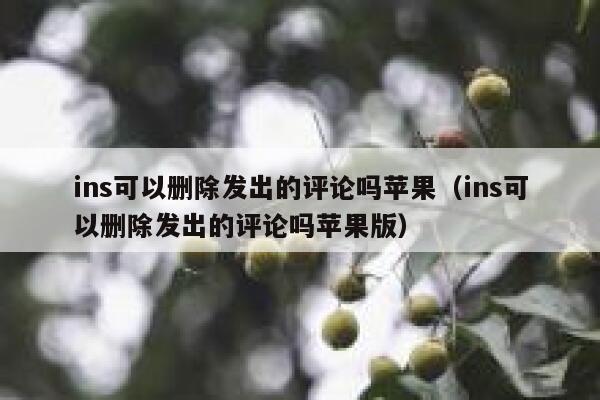 ins可以删除发出的评论吗苹果（ins可以删除发出的评论吗苹果版） 第1张