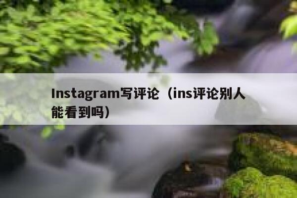 Instagram写评论（ins评论别人能看到吗） 第1张