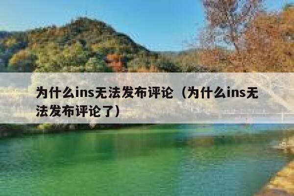 为什么ins无法发布评论（为什么ins无法发布评论了） 第1张