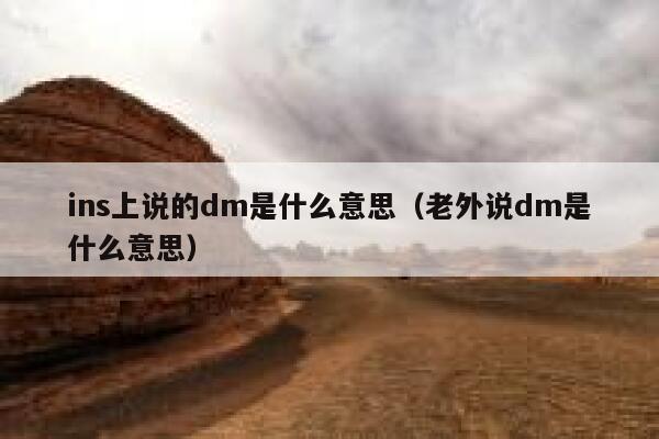 ins上说的dm是什么意思（老外说dm是什么意思） 第1张
