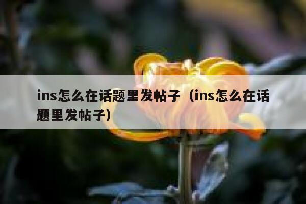 ins怎么在话题里发帖子(ins怎么在话题里发帖子) 第1张 ins怎么在话题里发帖子(ins怎么在话题里发帖子) 第1张