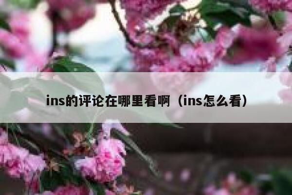 ins的评论在哪里看啊（ins怎么看） 第1张