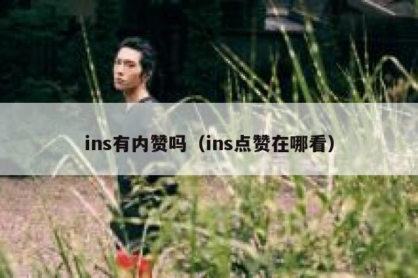 ins有内赞吗（ins点赞在哪看） 第1张