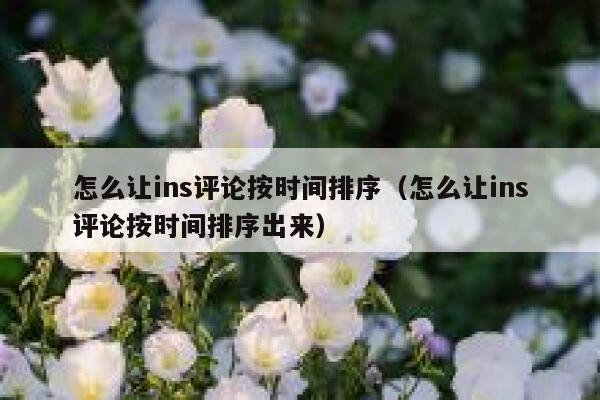 怎么让ins评论按时间排序（怎么让ins评论按时间排序出来） 第1张